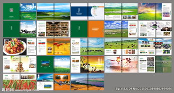 融合新疆風(fēng)情與現(xiàn)代科技 新疆特產(chǎn)公司畫冊圖片軟件銷售方案